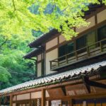 【実家相続】「とりあえず放置」が一番怖い？独学宅建士が教える、空き家を「負動産」にしないための3つのステップ