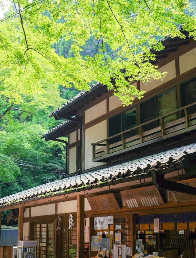 【実家相続】「とりあえず放置」が一番怖い？独学宅建士が教える、空き家を「負動産」にしないための3つのステップ